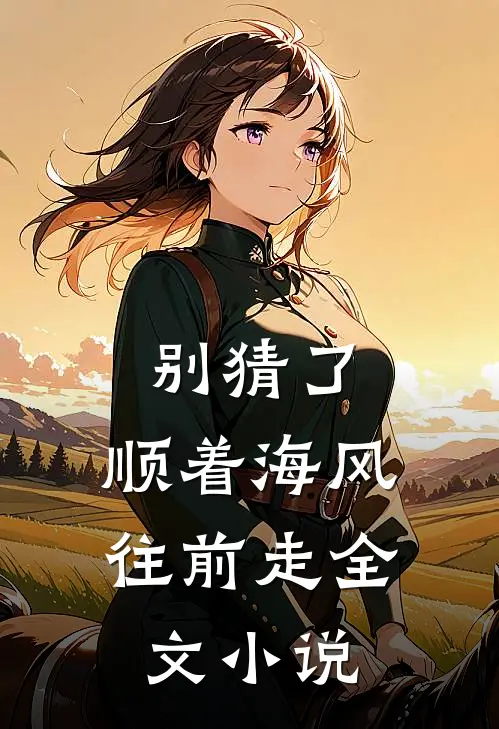 别猜了，顺着海风往前走全文小说