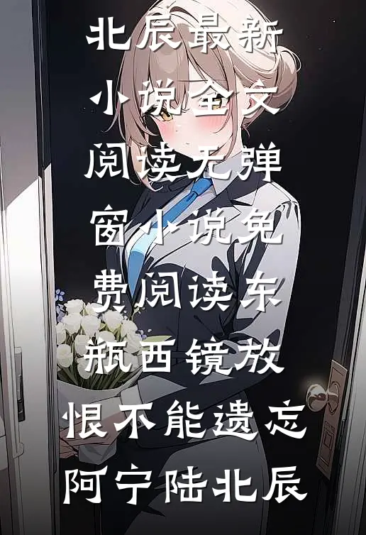 东瓶西镜放，恨不能遗忘阿宁陆北辰最新小说全文阅读_无弹窗小说免费阅读东瓶西镜放，恨不能遗忘阿宁陆北辰