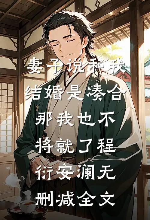 妻子说和我结婚是凑合，那我也不将就了程衍安澜无删减全文