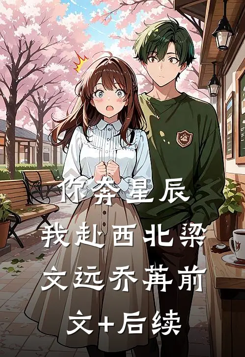 你奔星辰，我赴西北梁文远乔苒前文+后续