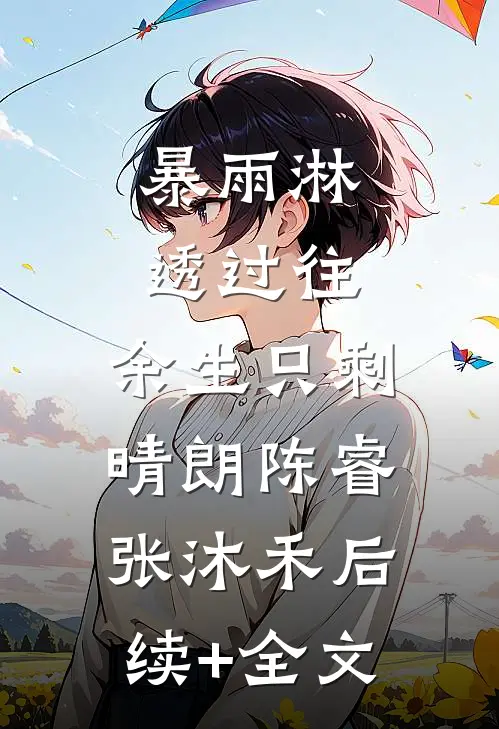 暴雨淋透过往，余生只剩晴朗陈睿张沐禾后续+全文