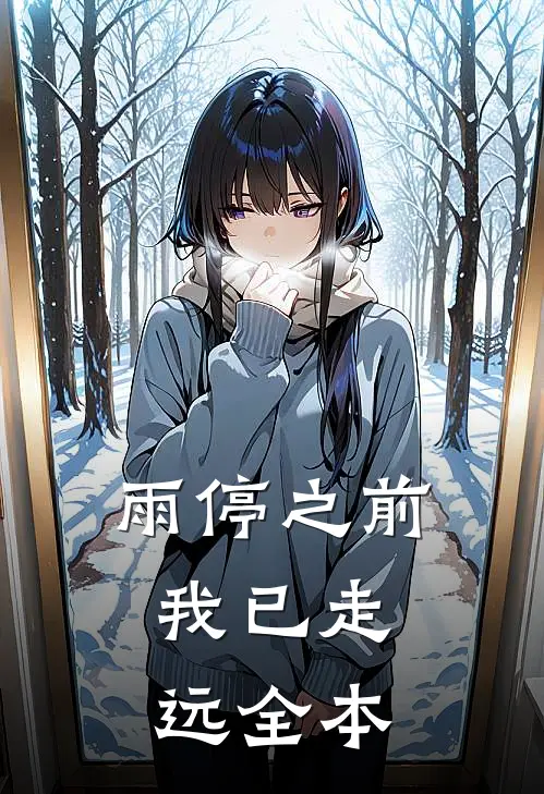 雨停之前，我已走远全本