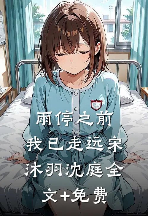 雨停之前，我已走远宋沐羽沈庭全文+免费