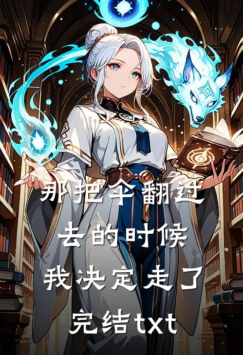 那把伞翻过去的时候，我决定走了完结txt