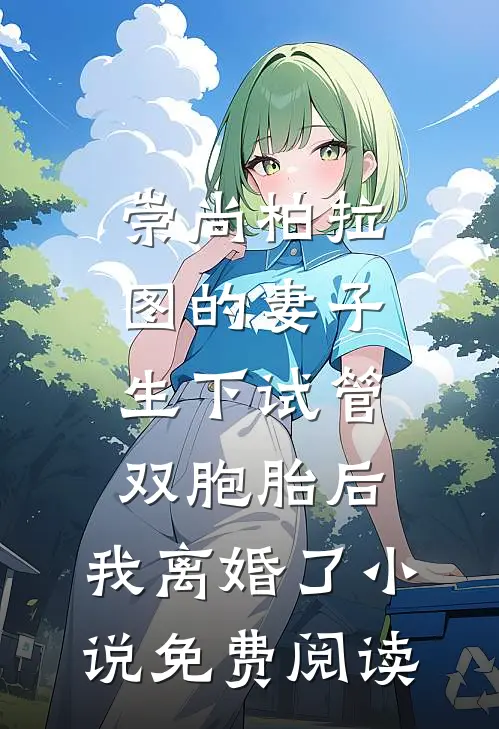崇尚柏拉图的妻子生下试管双胞胎后，我离婚了小说免费阅读