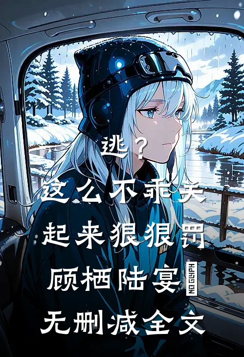 逃？这么不乖关起来狠狠罚顾栖陆宴俢无删减全文