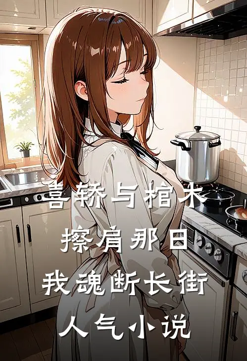 喜轿与棺木擦肩那日，我魂断长街人气小说