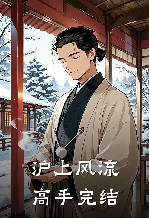 沪上风流高手完结