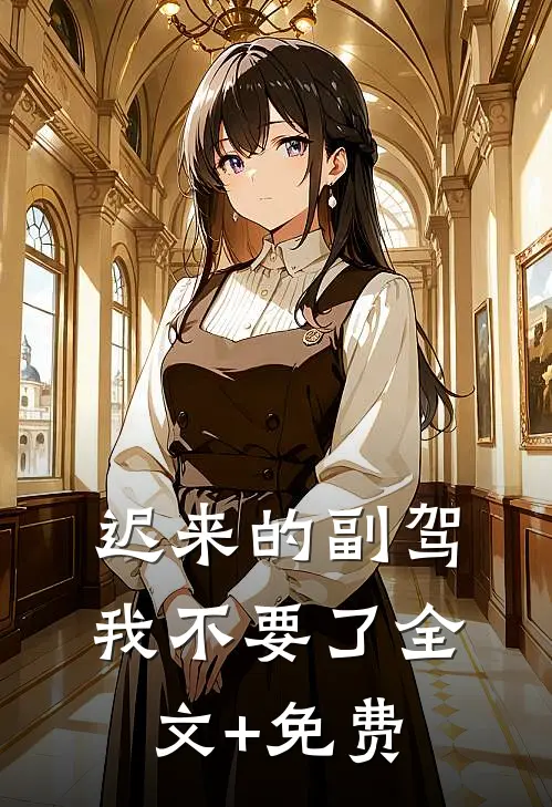 迟来的副驾，我不要了全文+免费