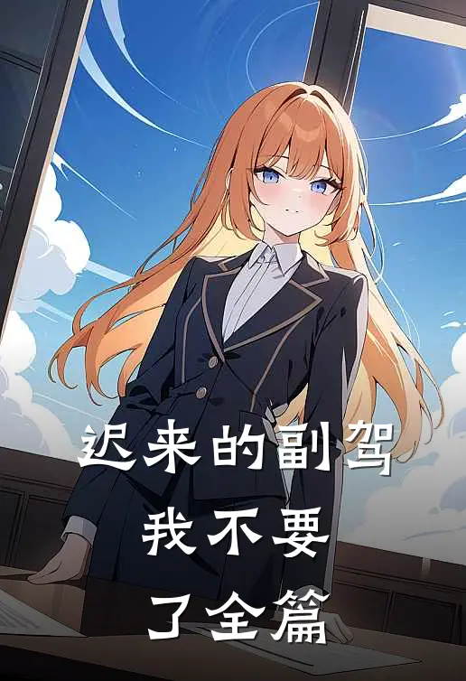 迟来的副驾，我不要了全篇