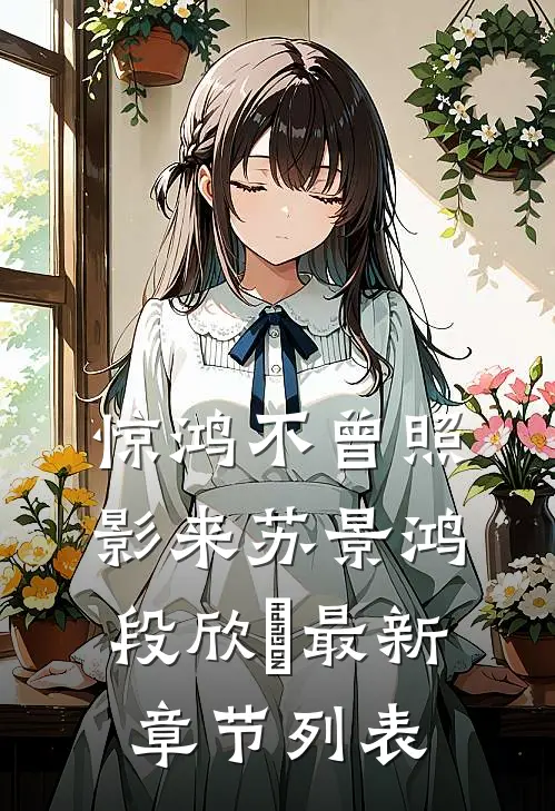 惊鸿不曾照影来苏景鸿段欣玥最新章节列表