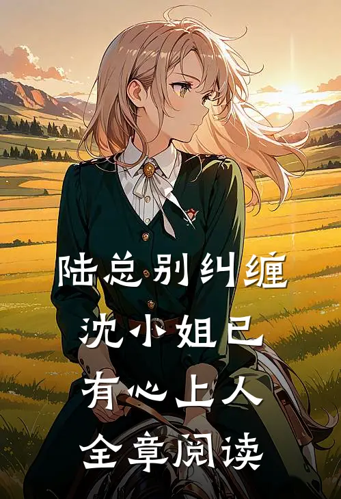 陆总别纠缠,沈小姐已有心上人全章阅读免费