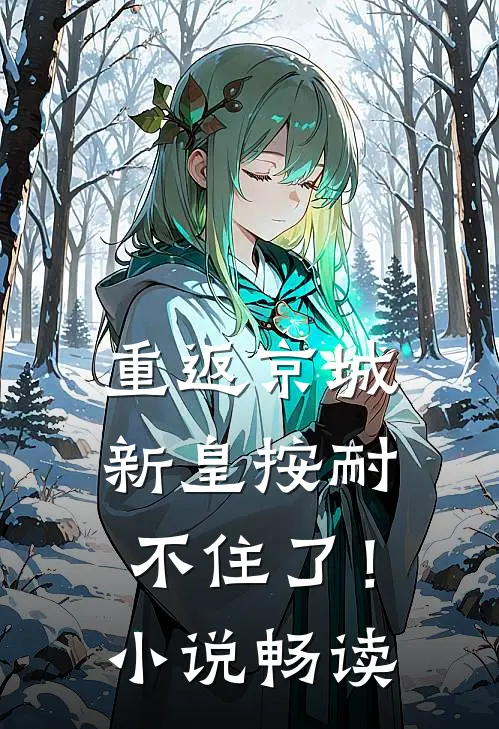 重返京城,新皇按耐不住了!畅读
