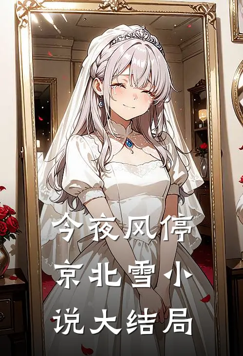 今夜风停京北雪大结局在线阅读
