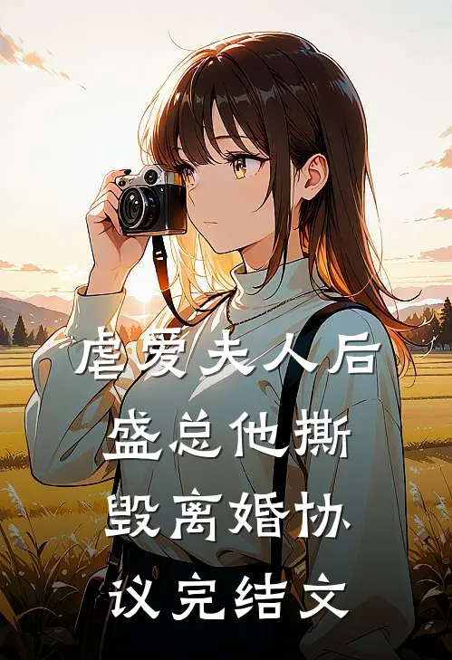虐爱夫人后,盛总他撕毁离婚协议完结文