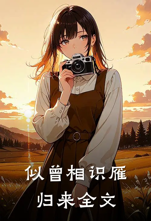 似曾相识雁归来全文无弹窗