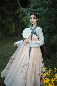 寄往月白的信全本