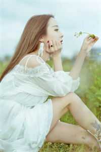 寄往月白的信免费阅读全文