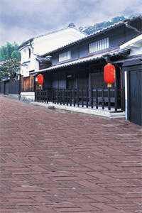 你是人间惊鸿客完本