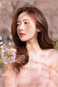 晚风枕月自安宁良心推荐