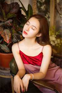 大雪散于长风完结文