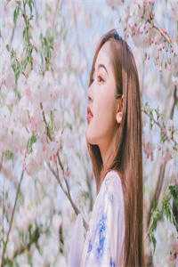 妈妈被仇人砍杀时，姐姐在陪庶弟过生辰小说免费阅读