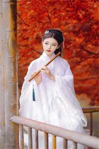 大婚之日，驸马将我与歌妓换了脸免费看