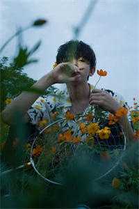 爱像星沉海底阅读