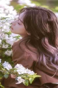 女总裁将五百万奖金颁给实习生后，我直接让公司破产无广告