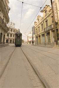 遥遥相思错流年全文+免费