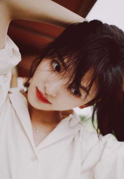 军犬拼死护主，五位将军叔叔泪崩完本