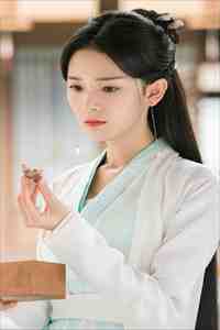 疏影归处是昭华小说免费阅读全文