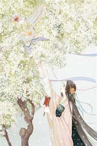 穿成种田恶女，三个疯批男虐哭了小说畅读