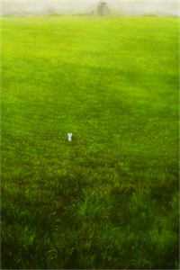 七零：大队长闺女逼我钻玉米地全文免费阅读