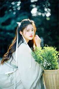 南风未起，念你成疾在线阅读全本阅读