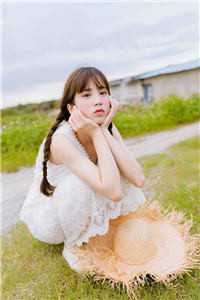 飞雁渡春秋几重全集