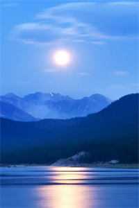 白骨梨花埋旧约结局+番外