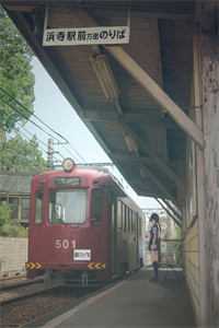 满城月色，梦微凉小说结局