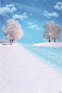 六岁萌娃掌全局，玩转深宅心机算计全文+免费