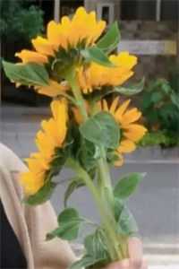 念念烬余温无错版