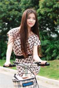 遥遥相思错流年小说