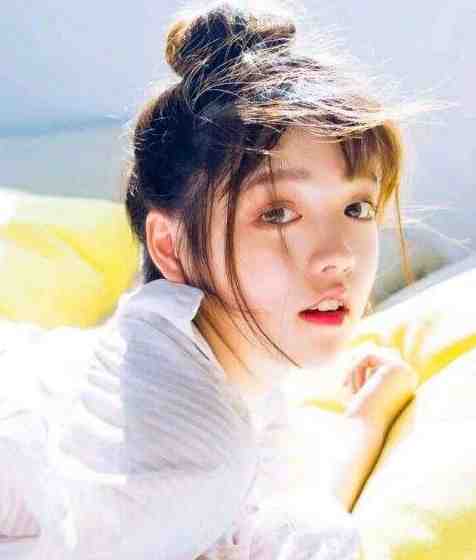 冬雪覆旧情许苒陆瑾安前文+后续