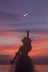 明月相照桑榆已晚全本