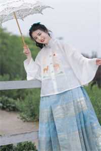 雁飞南归完整作品