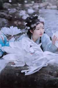 萤火绕过旧梅梢优质全文阅读