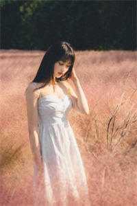 七年情深东流水，深恩负尽难再求后续+无弹窗