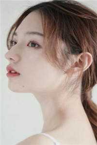 风停意难平热门小说