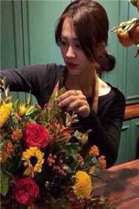 她寄人间满星河已完结版