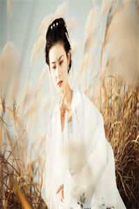 从此山河不逢君精品推荐