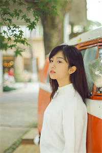 明月相照桑榆已晚在线看